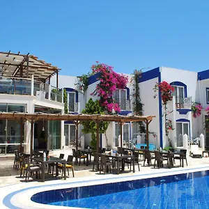 book here